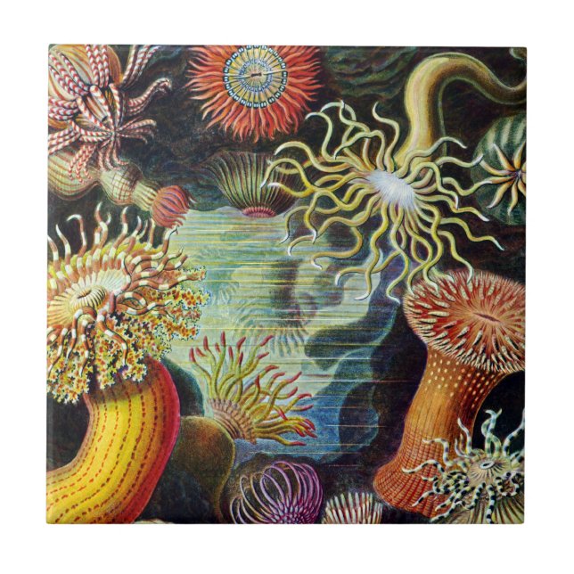 The Art of Nature by Ernst Haeckel Ceramic Tile (Front)
