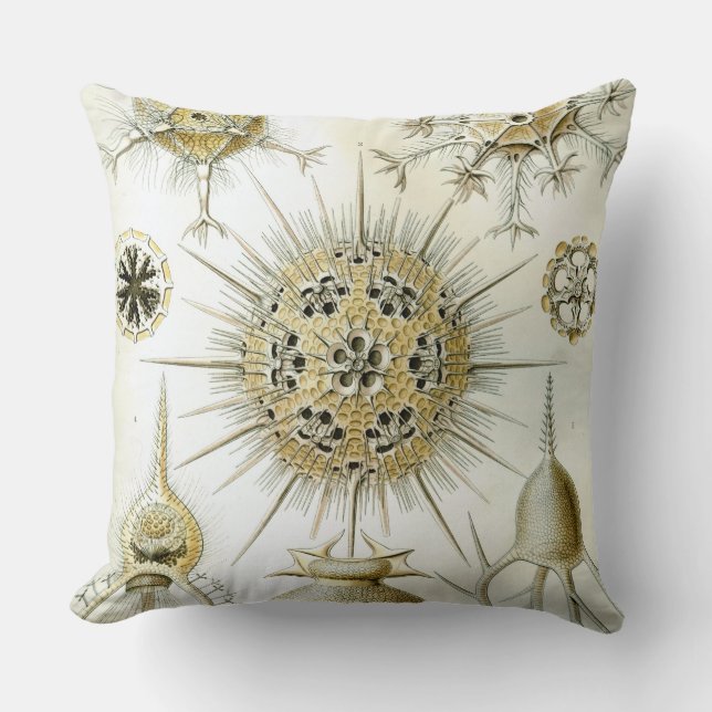 The Art of Nature by Ernst Haeckel Throw Pillow (Front)