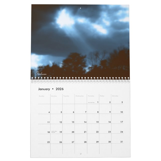 The Art of Tim Stringer Calendar (Jan 2026)