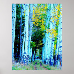 The Aspen Road Poster