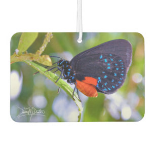 The Atala Air Freshener
