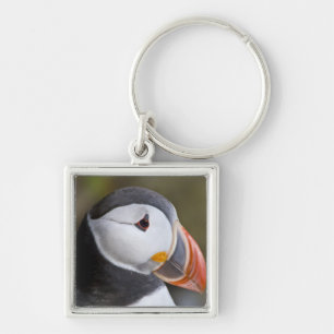 The Atlantic Puffin, a pelagic seabird Keychain