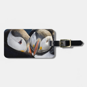 The Atlantic Puffin, a pelagic seabird Luggage Tag
