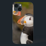 The Atlantic Puffin iPhone 13 Case<br><div class="desc">The Atlantic Puffin,  a pelagic seabird,  shown here in breeding colors Latrabjerg peninsula,  Iceland   Ralph Bendjebar / DanitaDelimont.com</div>