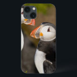 The Atlantic Puffin iPhone 13 Case<br><div class="desc">The Atlantic Puffin,  a pelagic seabird,  shown here in breeding colors Latrabjerg peninsula,  Iceland   Ralph Bendjebar / DanitaDelimont.com</div>