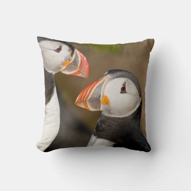 The Atlantic Puffin Throw Pillow (Front)