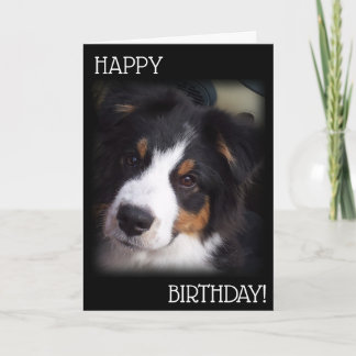 The Aussie Dog Birthday Card  A1