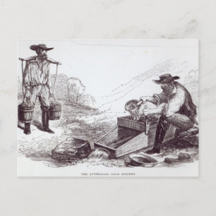 The Australian Gold Diggers Postcard
