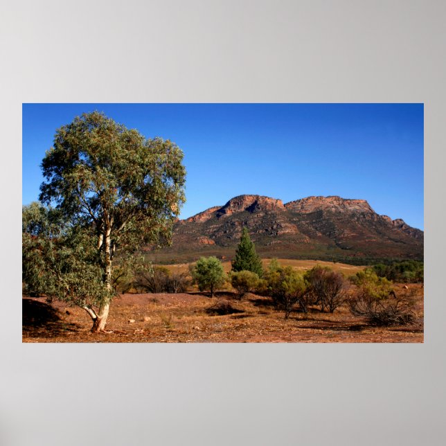 The Australian Outback Poster (Front)