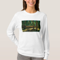 The Auto Log in Giant Forest, Redwoods