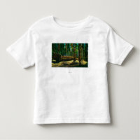 The Auto Log in Giant Forest, Redwoods