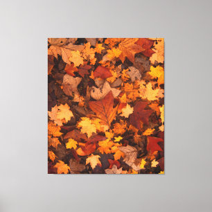 the autumn canvas print