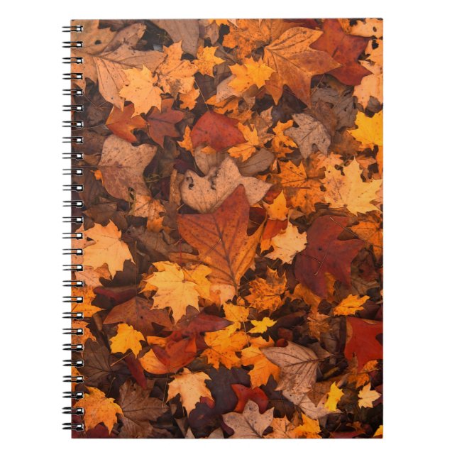 the autumn notebook (Front)