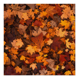 the autumn poster