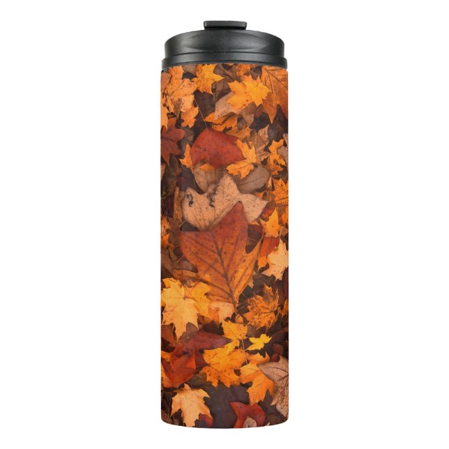 the autumn thermal tumbler (Front)