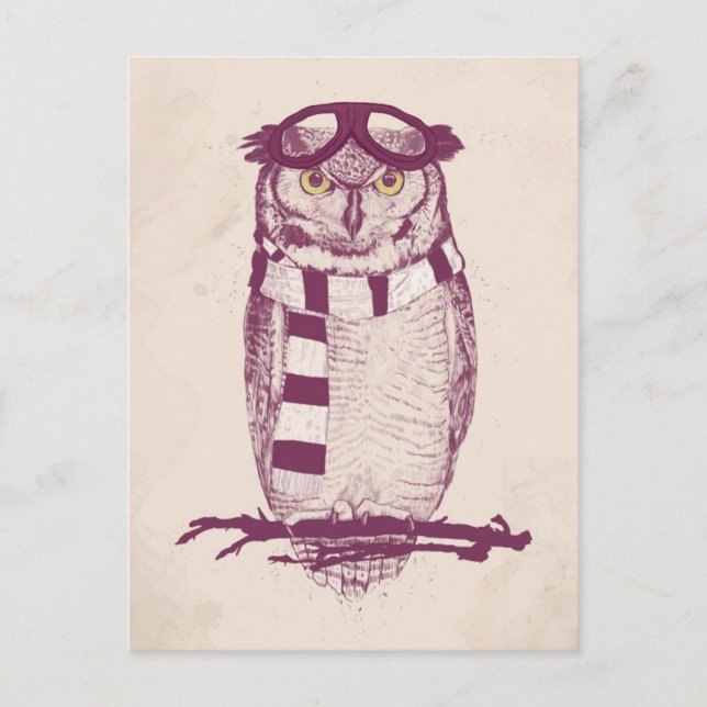 The aviator postcard (Front)