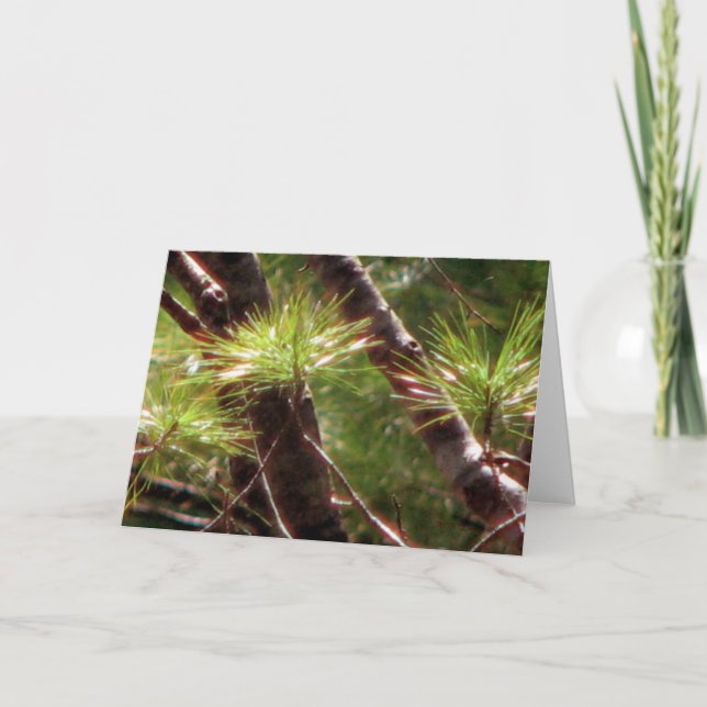 The Awakened Forest Card (Front)