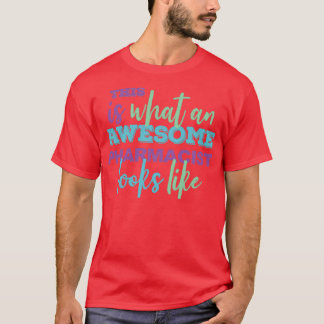 The Awesome Pharmacist Funny Gift 1 T-Shirt