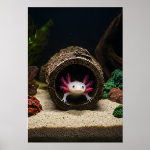 The Axolotl's Abode Poster