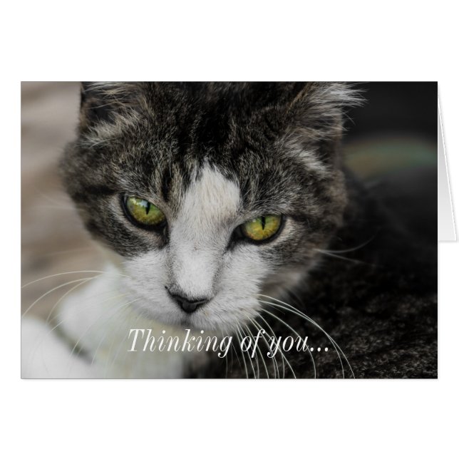 The Baby Look Thinking Of You Card (Front Horizontal)