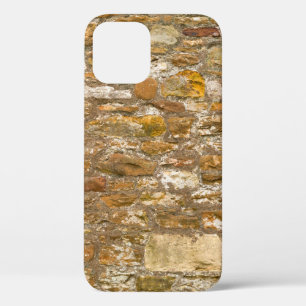 The background and texture stone wall. High resolu iPhone 12 Case