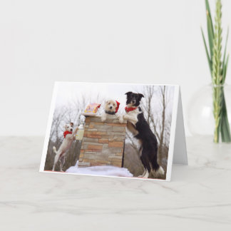 The bad dogs are ready for Santa. Card