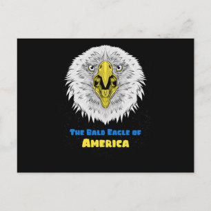 The Bald Eagle of American - US emblem Postcard