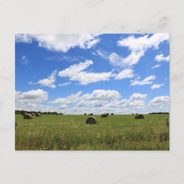 The Bales of Summer 3 Postcard (Front)