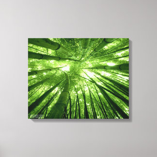 The bamboo forest canvas print