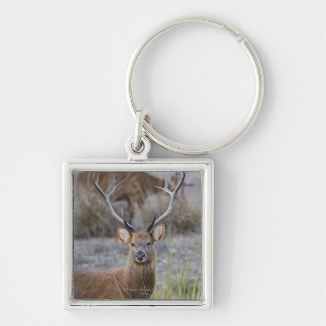 The Barasingha or Barasinga (Rucervus Keychain (Front)