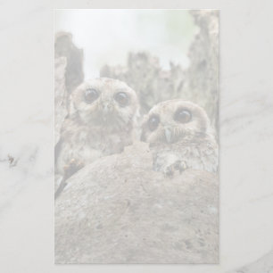The Bare-legged Owl Or Cuban Screech Owl Stationery