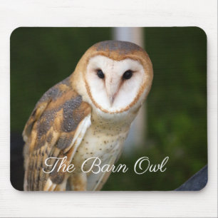The Barn Owl Mouse Pad