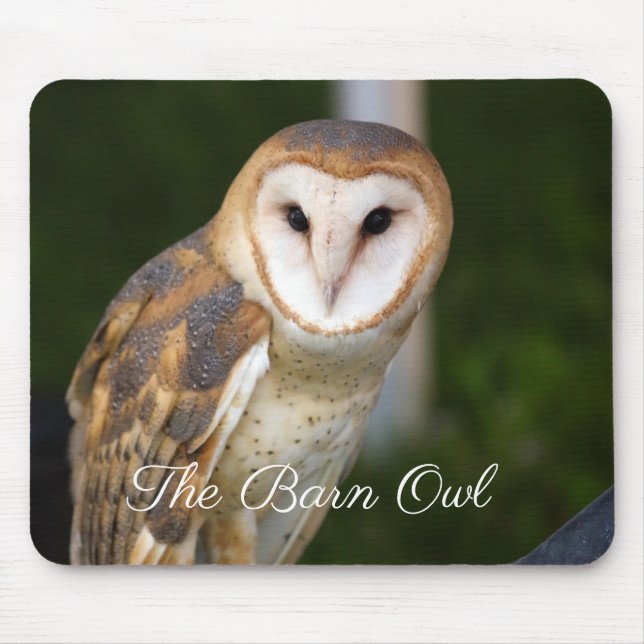 The Barn Owl Mouse Pad (Front)