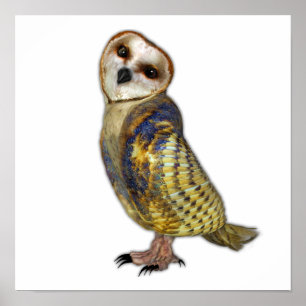 The Barn Owl Poster