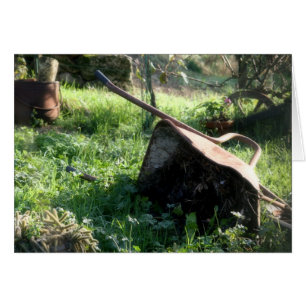 The Barrow