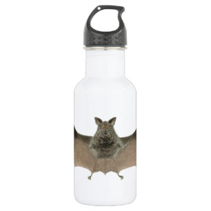 the bat 532 ml water bottle