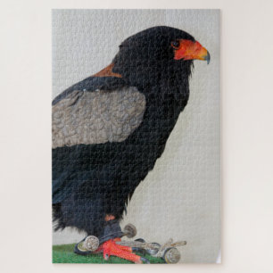 The Bateleur Eagle Jigsaw Puzzle