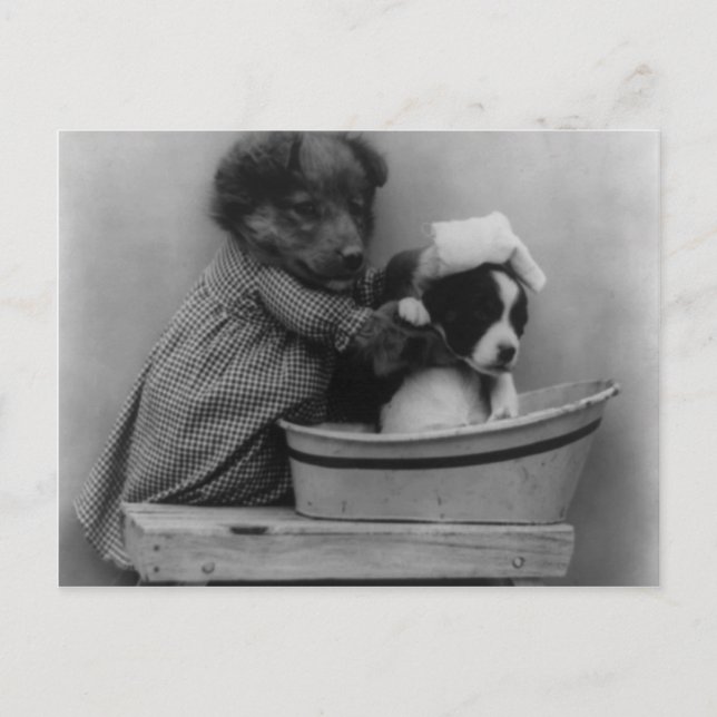 The Bath Postcard (Front)