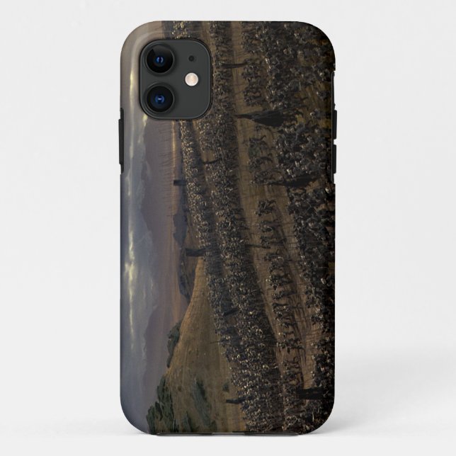 The Battle of the Pelennor Fields Case-Mate iPhone Case (Back)