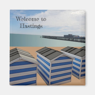 The beach at Hastings Fridge Magnet