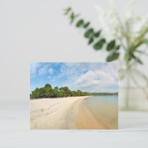 The beach Koukounaries of Skiathos island, Greece Postcard