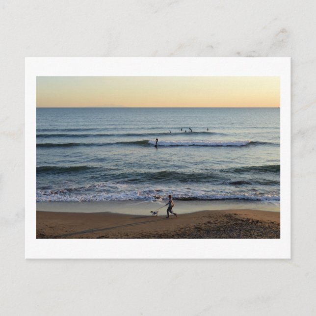 The Beach Life: Japan Postcard (Front)