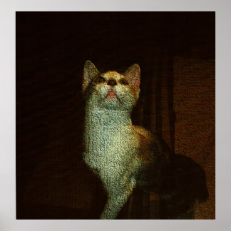 The Beatiful Sweetie Poster