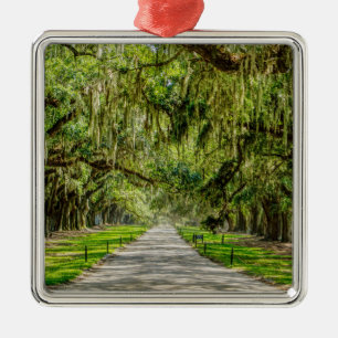 The Beautiful Avenue Of Oaks Metal Ornament