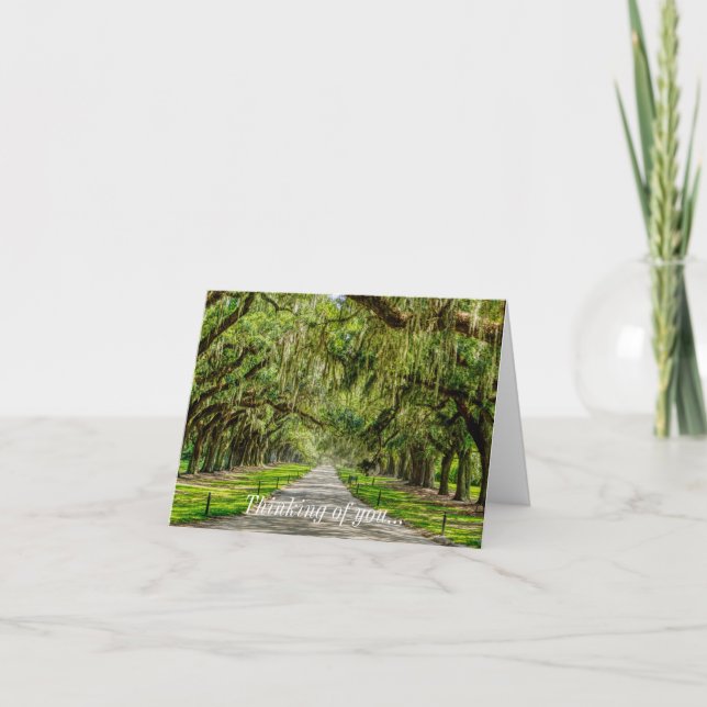 The Beautiful Avenue Of Oaks Thinking Of You Card (Front)