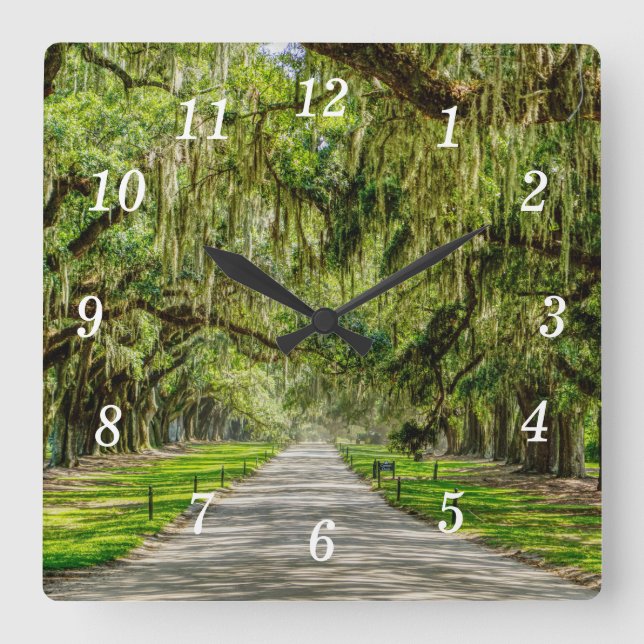 The Beautiful Avenue Of Oaks Wall Clock (Front)