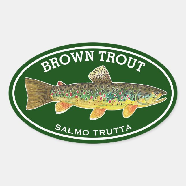 The Beautiful Brown Trout Oval Sticker (Front)