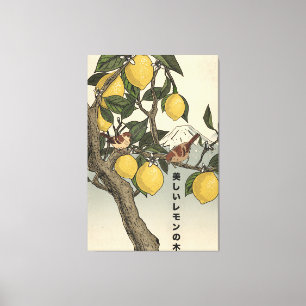 The Beautiful Lemon Tree Canvas Print