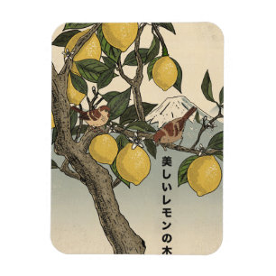 The Beautiful Lemon Tree Magnet
