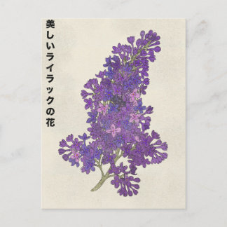 The Beautiful Lilac Flower Invitation Postcard